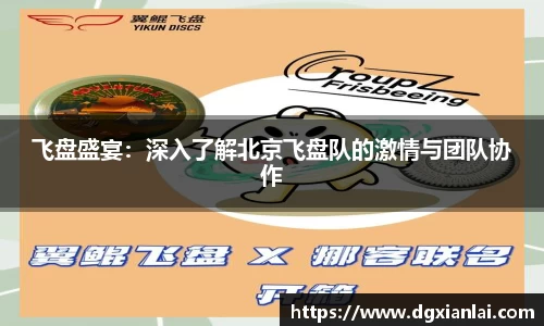 飞盘盛宴：深入了解北京飞盘队的激情与团队协作