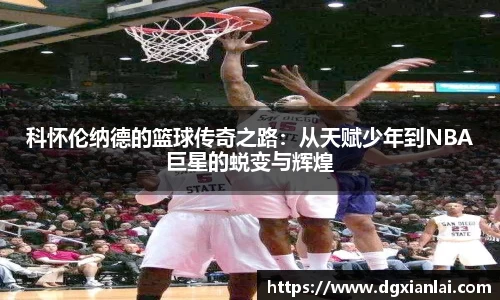 星空·综合体育中国官网